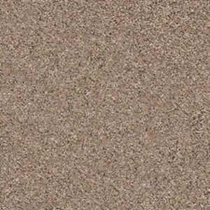 NATURE PATH by Shaw Floors - Cobble Drive