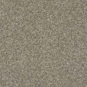 ALL OVER IT II by Shaw Floors - Clay