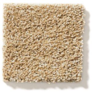 ALWAYS MINE by Shaw Floors - Farro