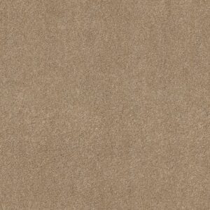 ACROSS THE BAY by Shaw Floors - Farro