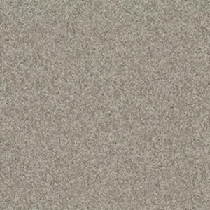 MY INSPIRATION I by Shaw Floors - Rocky Coast
