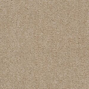 FIRST STEP by Dreamweaver - Sawgrass 701