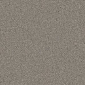 EXCEPTIONAL II by Dreamweaver - Clam Shell 182