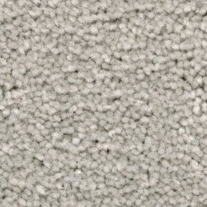 Treasure Valley by Mohawk - Drizzling Mist