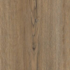 Endura Plus by Shaw Floors - Wild Dunes