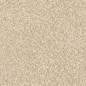 DELICATE DISTINCTION CLASSIC III by Shaw Floors - Toasted Grain