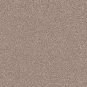 JUST A HINT II by Shaw Floors - Toast