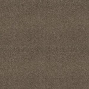 MY CHOICE III by Shaw Floors - Flax