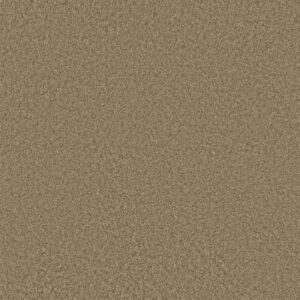 DAKOTA SPRINGS by Shaw Floors - Veranda