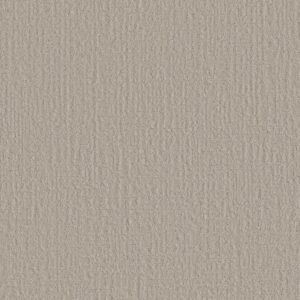 CREATING MEMORIES by Shaw Floors - Need A Hug