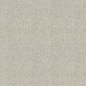 ALWAYS READY I by Shaw Floors - Etched Glass