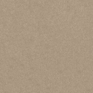 ORIGINS II by Shaw Floors - Ice Coffee