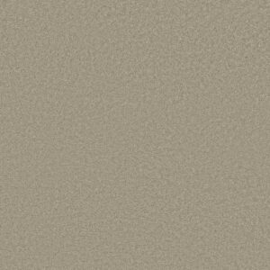 MY INSPIRATION III by Shaw Floors - Cityscape