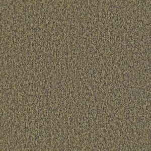 MULTIPLICITY by Philadelphia Commercial - Abundance