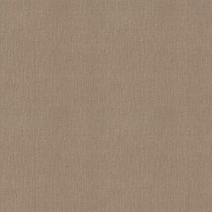 ONE MORE HOUR by Shaw Floors - Tuscan