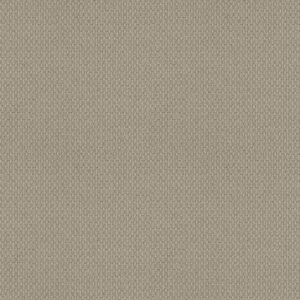 SOUTH EASTON by Shaw Floors - Sedate