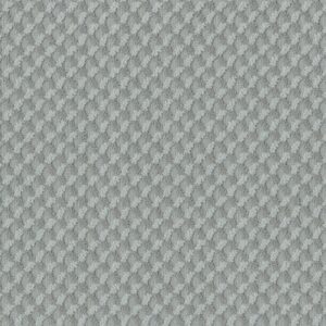 INSPIRED DESIGN by Shaw Floors - Waters Edge