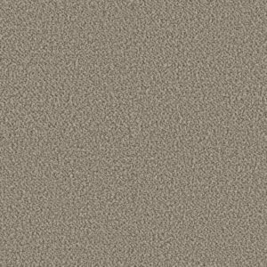 HIGH IMPACT B by Shaw Floors - Point Beach