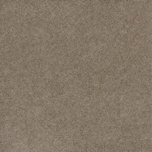 STUNNING by Dreamweaver - Mocha 775