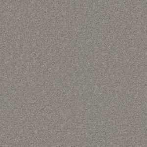 EXCEPTIONAL II by Dreamweaver - Silver Birch 800