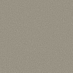 TRUSOLUTIONS III by Shaw Floors - Stone Path