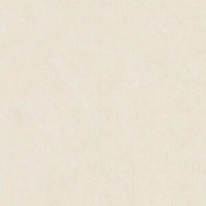 TESSUTO BN by Shaw Floors - Bianco