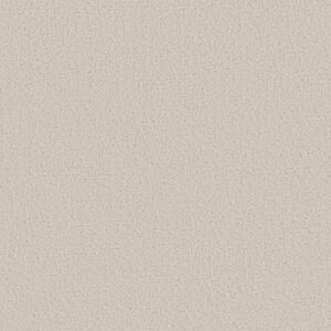 CANVAS COMFORT by Shaw Floors - Champagne Toast