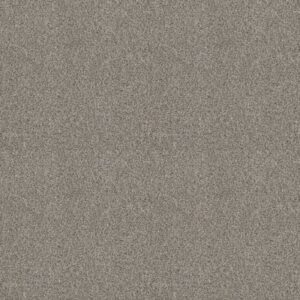 CABANA LIFE (B) by Shaw Floors - Stone