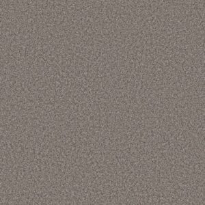 ARTISTIC FUSION II by Shaw Floors - Shadow