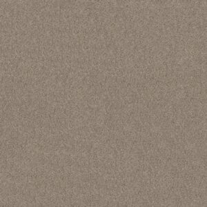 DELICATE DISTINCTION CLASSIC II by Shaw Floors - Drizzle
