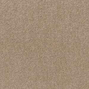 VALIANT by Shaw Floors - Mohair