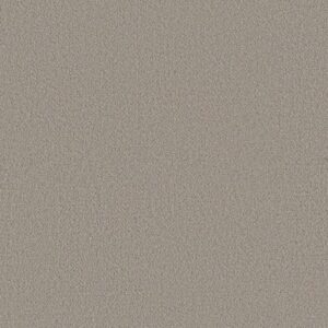 FINE TAPESTRY by Shaw Floors - Fossil Path