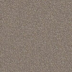 LUCKY YOU by Shaw Floors - Ashen