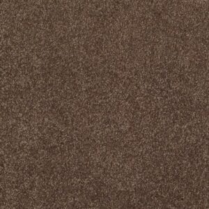 OPPORTUNITY KNOCKS by Shaw Floors - Sedona