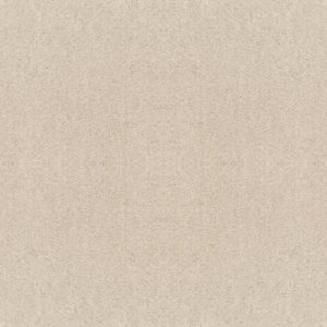 DREXEL HILL II 12' by Shaw Floors - Halo