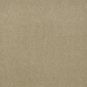 EMPHATIC II 36 by Philadelphia Commercial - Parchment