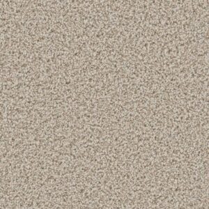 CAN'T MISS by Dreamweaver - Stucco 905