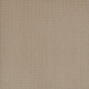 CASPIAN by Dreamweaver - Soft Pine 6317