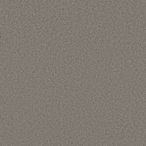 TONAL COMFORT II by Shaw Floors - Natural Fit