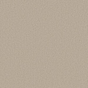 HIGH IMPACT T by Shaw Floors - Aura