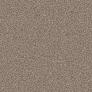 SOFT RADIANCE by Shaw Floors - Folklore