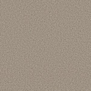 STRANDS OF NATURE II by Shaw Floors - Horizon