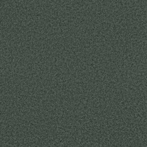 PREMIER ROLE by Shaw Floors - Mediterranean