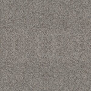 FIND YOUR COMFORT TA II by Shaw Floors - All Aboard (A)