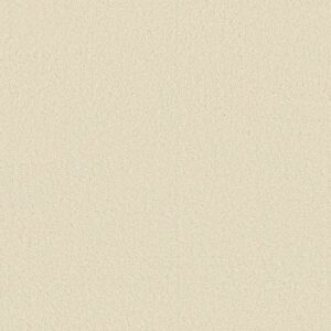 CASHMERE III by Shaw Floors - Icelandic