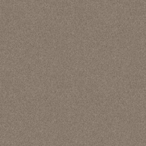 DELICATE DISTINCTION CLASSIC II by Shaw Floors - Granite
