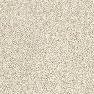 DELICATE DISTINCTION CLASSIC I by Shaw Floors - Cliff