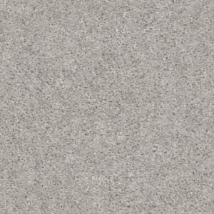 VALIANT by Shaw Floors - Silver Song