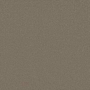 SHINGLE CREEK I 12 by Shaw Floors - Wood Smoke