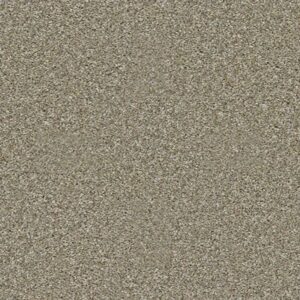 ALL OVER IT I by Shaw Floors - Weathered